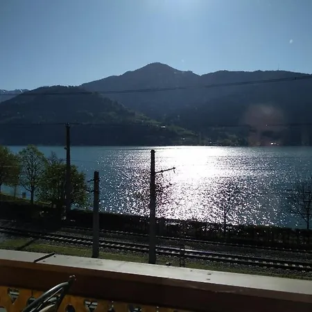 Harrer Проживання в сім'ї *