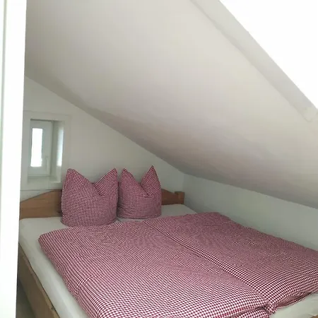 Homestay Appartement Harrer Zell am See