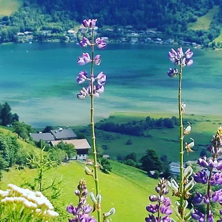 Appartement Harrer * Zell am See