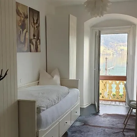 Homestay Appartement Harrer Zell am See