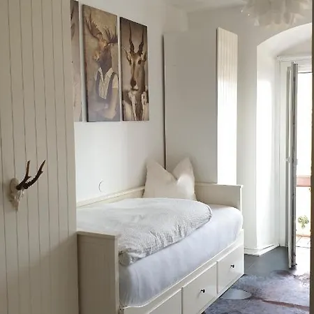 Homestay Appartement Harrer Zell am See