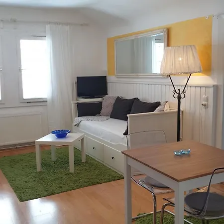 Homestay Appartement Harrer Zell am See