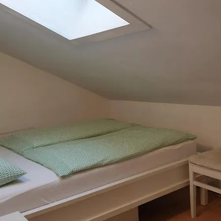 Homestay Appartement Harrer Zell am See