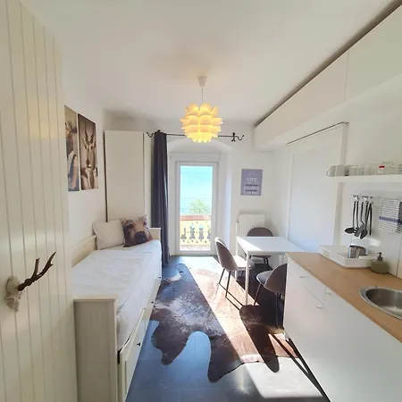Homestay Appartement Harrer Zell am See