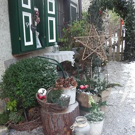 Appartement Harrer Homestay Zell am See