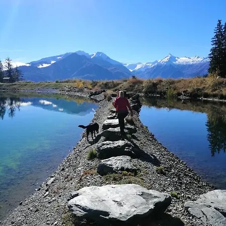 Проживання в сім'ї Harrer
