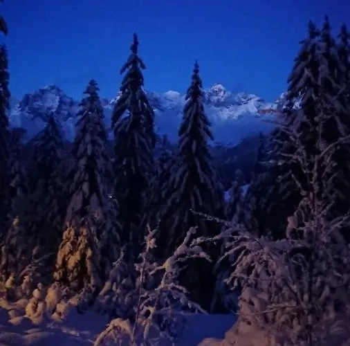 Ubytování v soukromí Harrer *