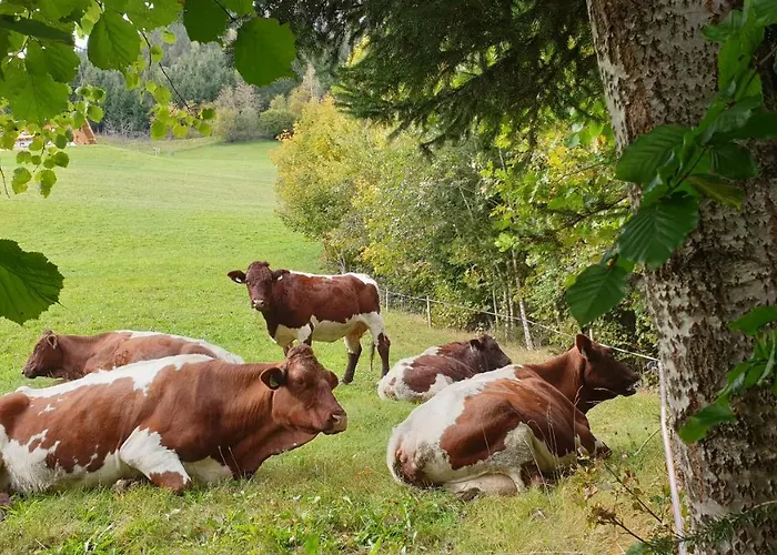 Ubytování v soukromí Harrer