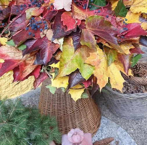 Harrer * Zell am See