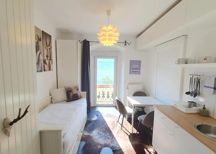 홈스테이 Harrer 젤암제