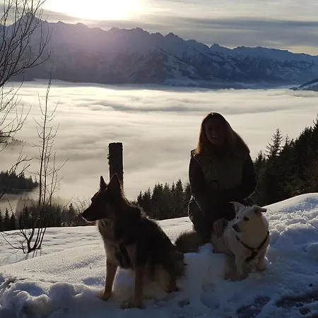 Проживание в семье Appartement Harrer